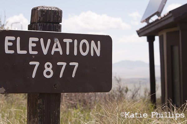 Name:  7877.1.jpg
Views: 60
Size:  61.4 KB