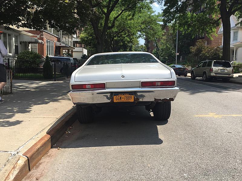 Count by Picture-7889.jpg