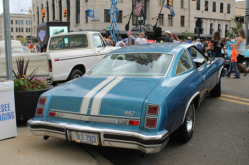 Count by Picture-7923.jpg