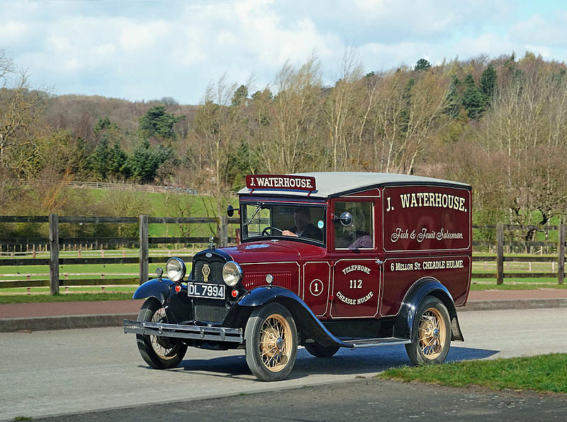 Count by Picture-7994.jpg