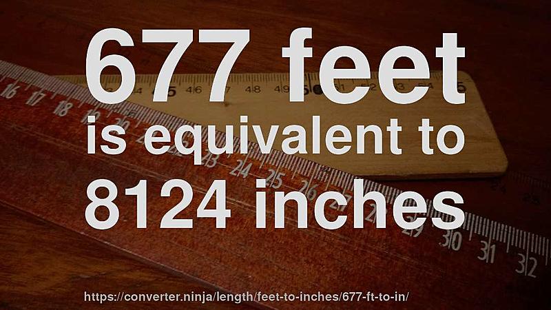 Count by Picture-8124.jpg