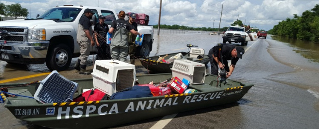 Name:  8140.jpg
Views: 75
Size:  84.0 KB