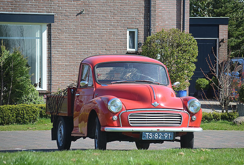 Count by Picture-8291.jpg