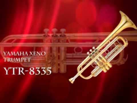 Name:  8335.jpg
Views: 104
Size:  17.3 KB