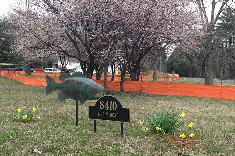 Count by Picture-8410.jpg