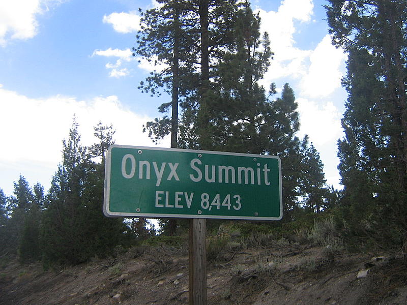 Count by Picture-8443.jpg