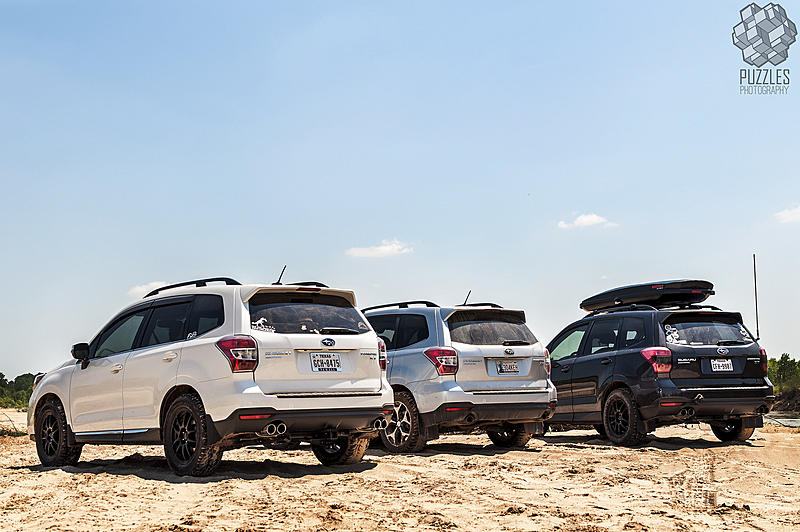 Count by Picture-8475.jpg