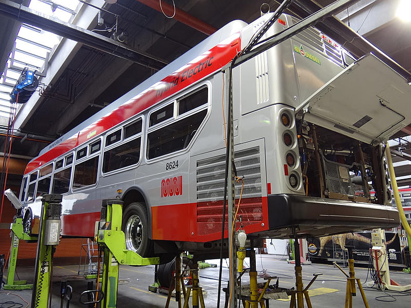 Count by Picture-8624.jpg