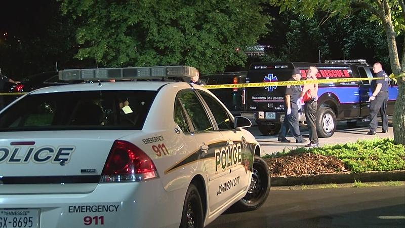 Count by Picture-8695.jpg