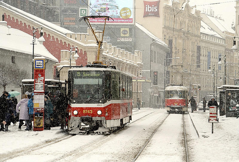 Count by Picture-untitled-1.jpg