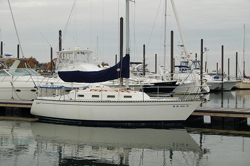 Count by Picture-8744.1.jpg