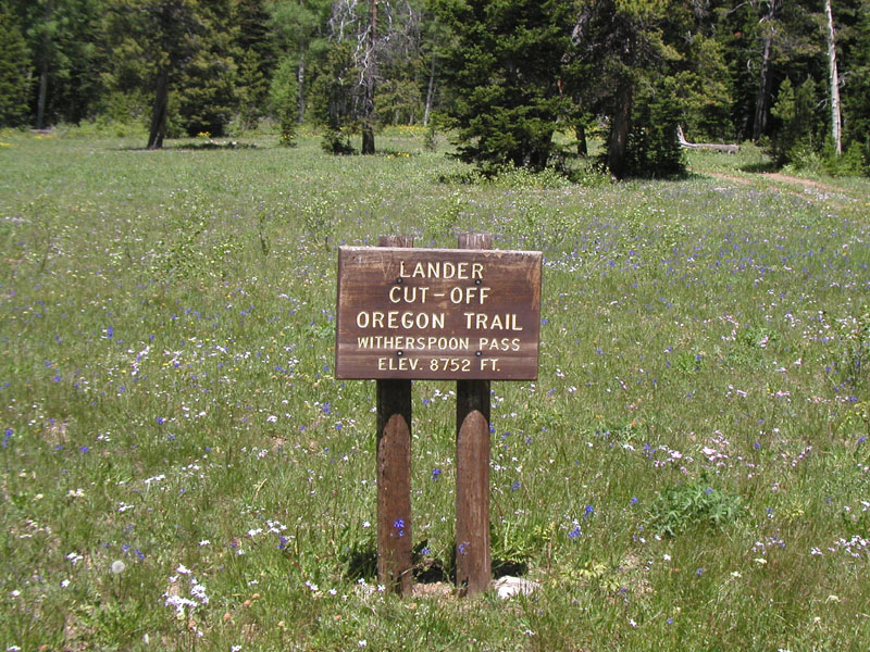 Name:  8752.jpg
Views: 87
Size:  225.1 KB