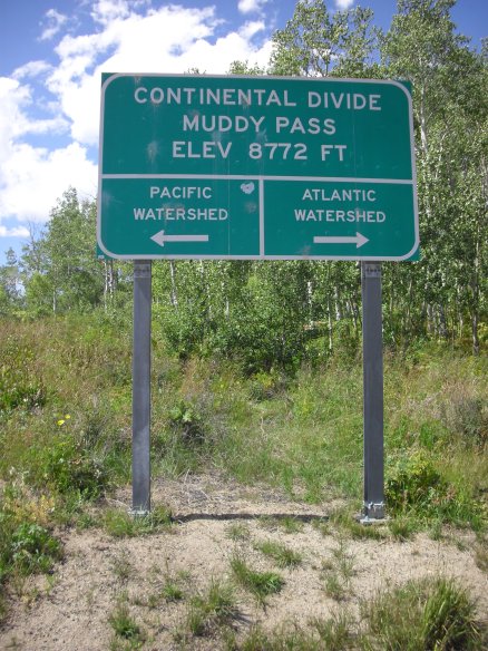 Name:  8772.jpg
Views: 69
Size:  89.8 KB