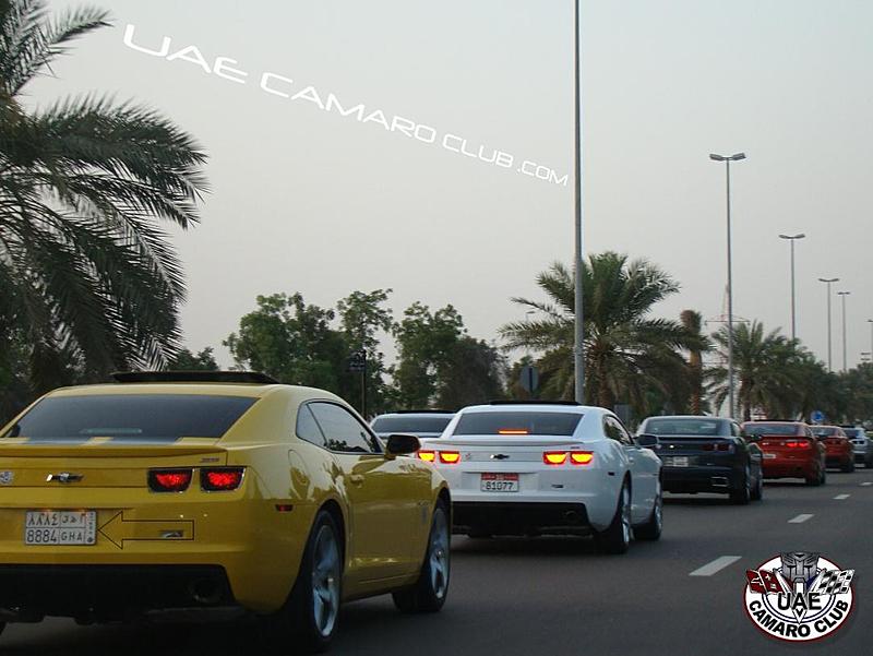 Count by Picture-8884.jpg