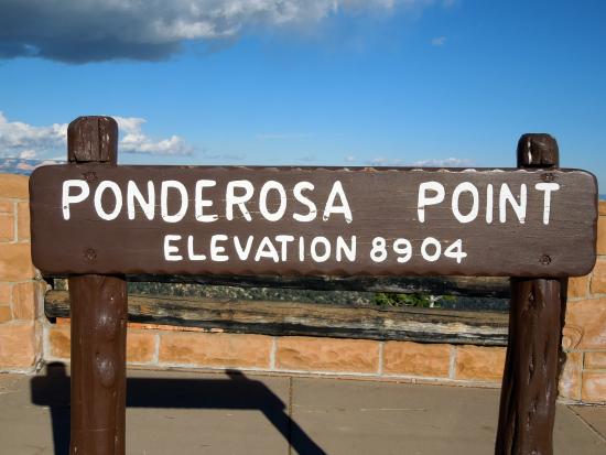 Name:  8904.jpg
Views: 55
Size:  33.7 KB