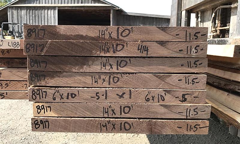 Count by Picture-8917.jpg