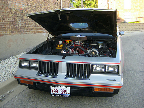 Name:  8994.jpg
Views: 110
Size:  152.0 KB