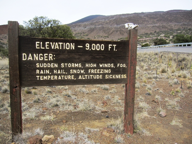 Name:  9000_2.jpg
Views: 62
Size:  361.4 KB