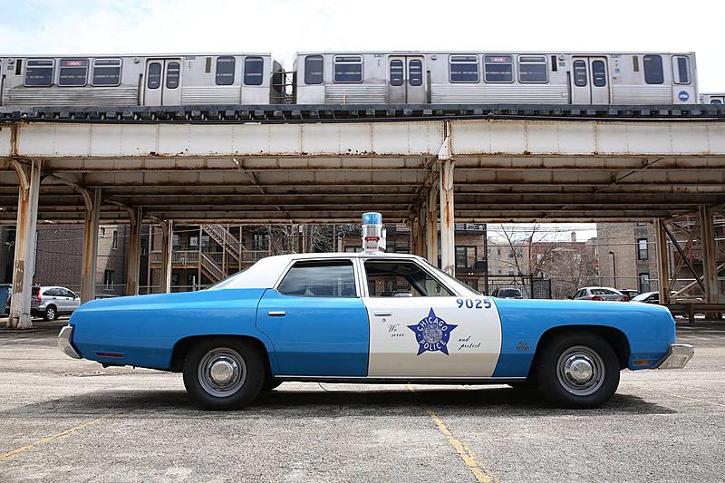 Count by Picture-9025.jpg