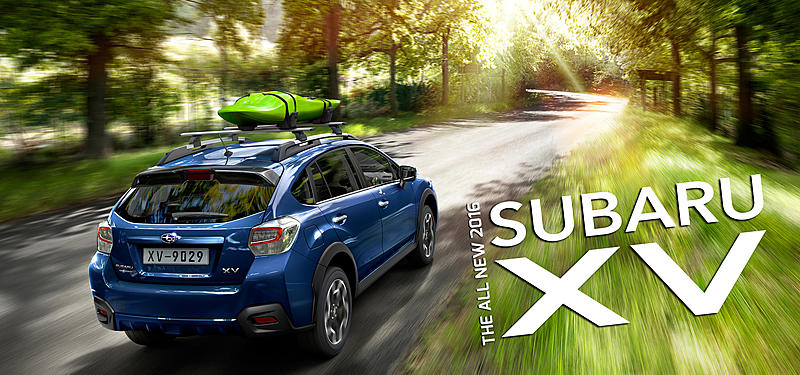 Count by Picture-9029.jpg