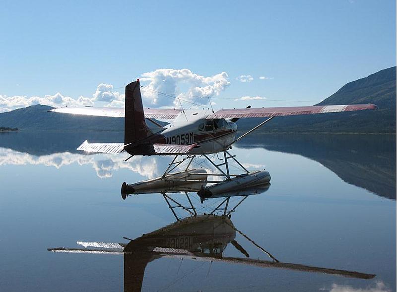 Count by Picture-9059.jpg