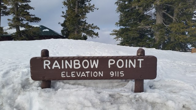 Name:  9115.jpg
Views: 130
Size:  82.3 KB