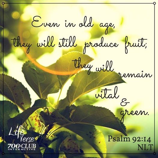 Name:  9214.jpg
Views: 64
Size:  49.4 KB