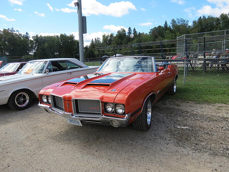 Count by Picture-9268.jpg