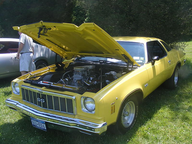 Count by Picture-9316.jpg