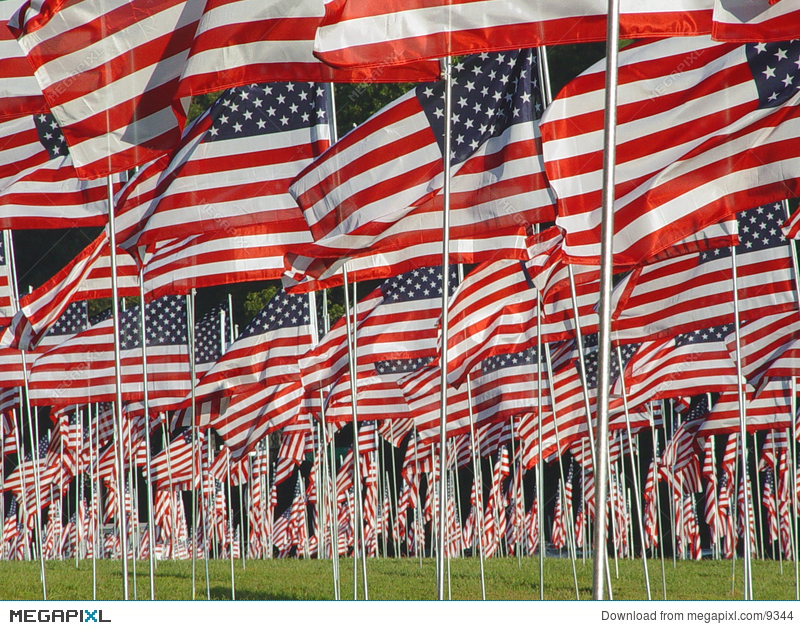 Name:  9344.jpg
Views: 97
Size:  843.4 KB