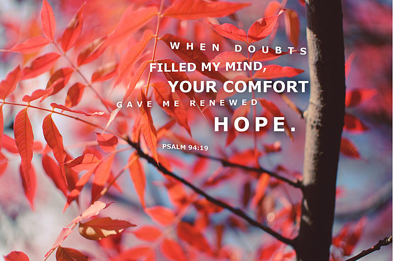 Count by Picture-9419.jpg