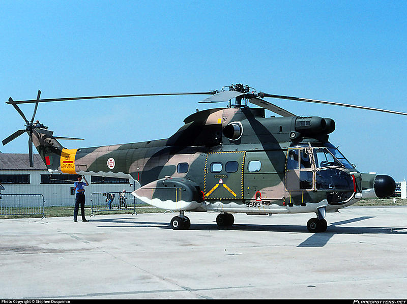 Count by Picture-9503.jpg