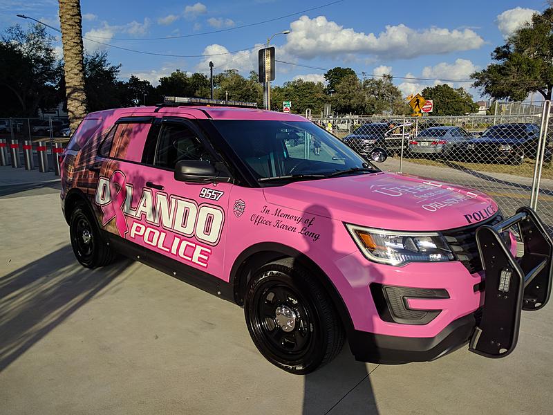 Count by Picture-9557.jpg