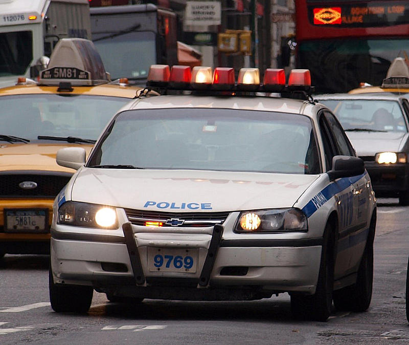 Count by Picture-9769.jpg