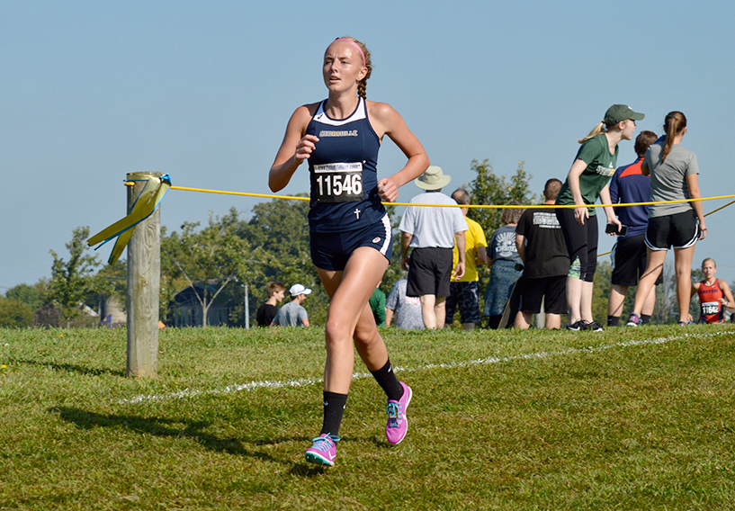 Name:  Z4gFI6d.jpg
Views: 16
Size:  295.1 KB