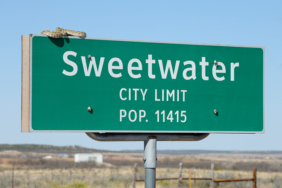 Name:  zFJzjNi.jpg
Views: 22
Size:  196.6 KB