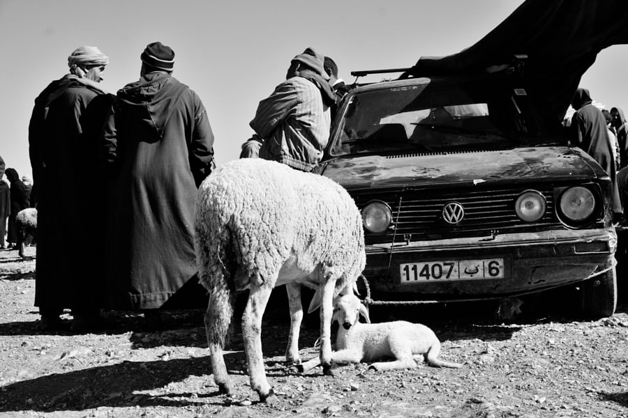 Name:  htseilb.jpg
Views: 19
Size:  130.0 KB