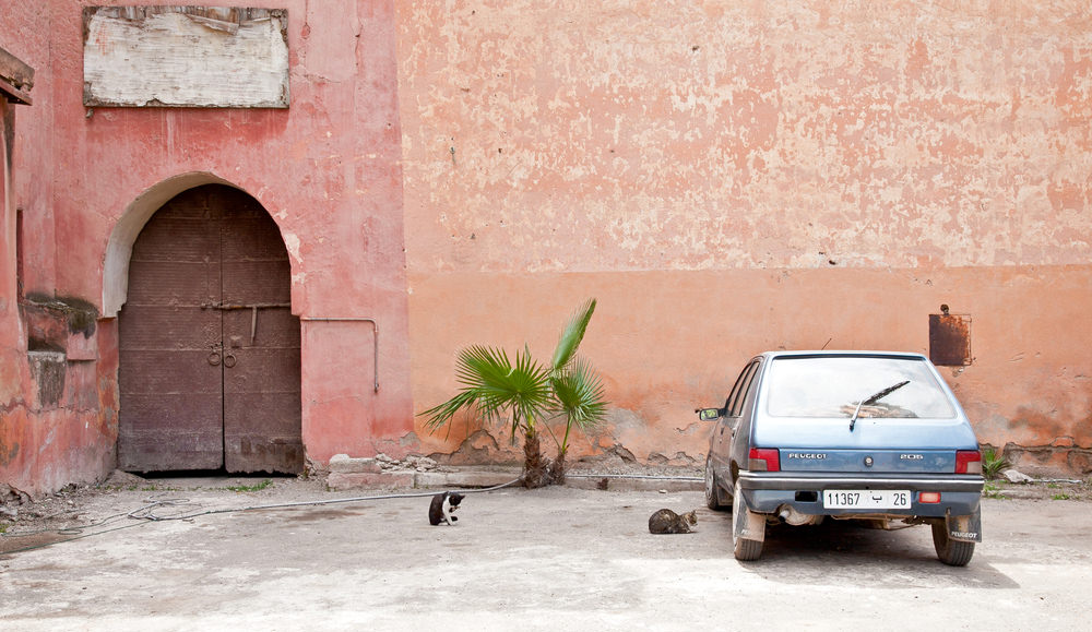 Name:  7DYQft6.jpg
Views: 14
Size:  141.5 KB