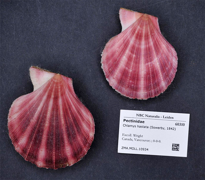 Name:  J9az0Pk.jpg
Views: 9
Size:  155.6 KB