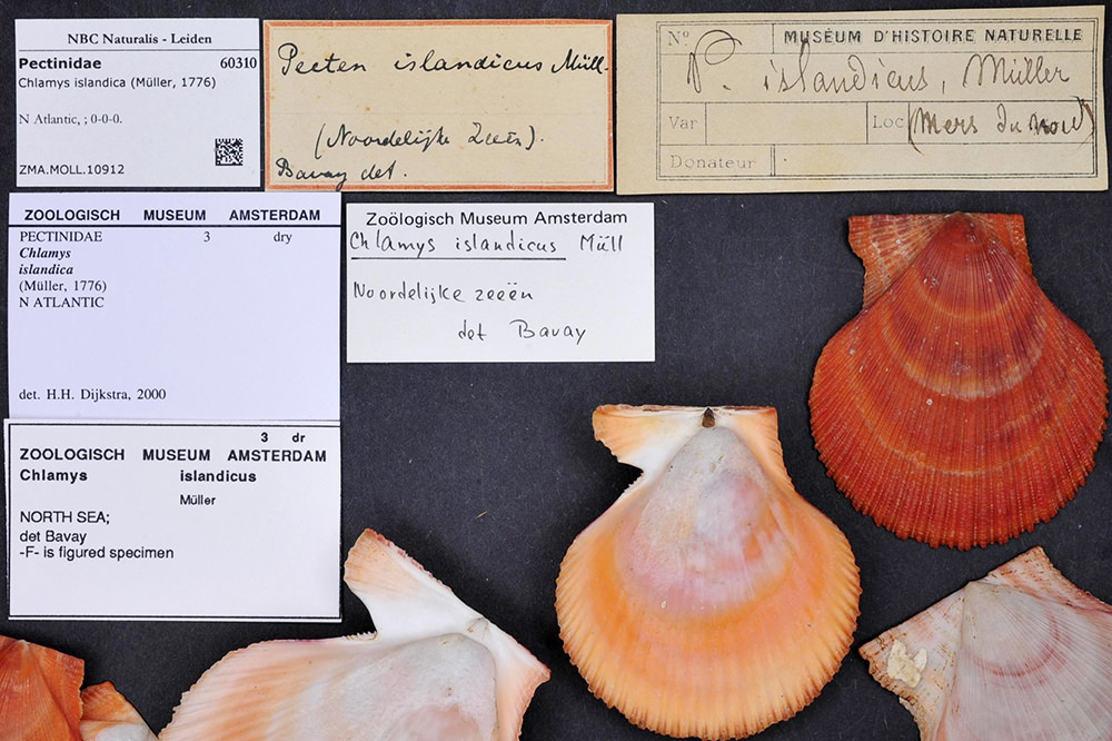 Name:  nOnHSwX.jpg
Views: 13
Size:  220.4 KB