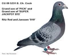 Name:  OSGVswQl.jpg
Views: 10
Size:  9.0 KB