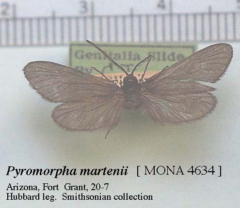 Name:  JUbdrnol.jpg
Views: 19
Size:  36.0 KB