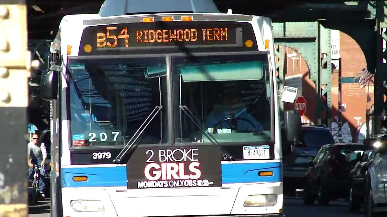 Name:  DOrgsEE.jpg
Views: 16
Size:  108.7 KB