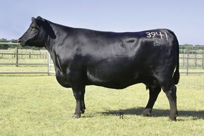 Name:  ldTClHll.jpg
Views: 7
Size:  21.6 KB