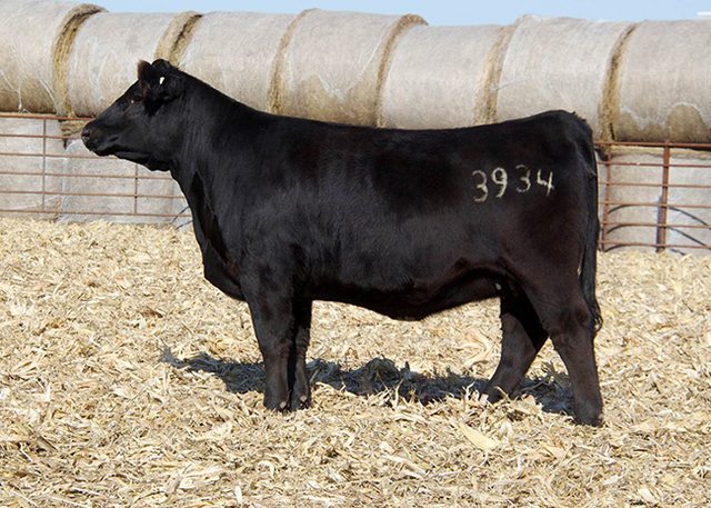 Name:  Q8qhb9hl.jpg
Views: 10
Size:  88.5 KB