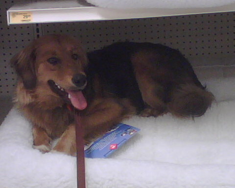 Name:  IMG00245.jpg
Views: 216
Size:  29.0 KB