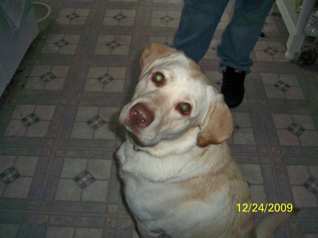 Name:  todays upload 081.jpg
Views: 109
Size:  32.3 KB