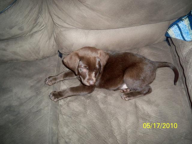 Name:  todays upload 241.jpg
Views: 108
Size:  42.2 KB