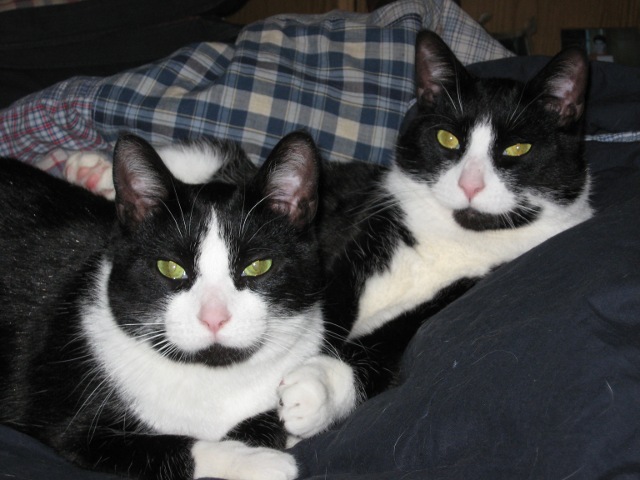 Name:  IMG_0159__2.JPG
Views: 197
Size:  92.5 KB