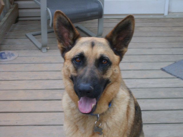 Name:  Group 1 085__2.jpg
Views: 169
Size:  94.8 KB